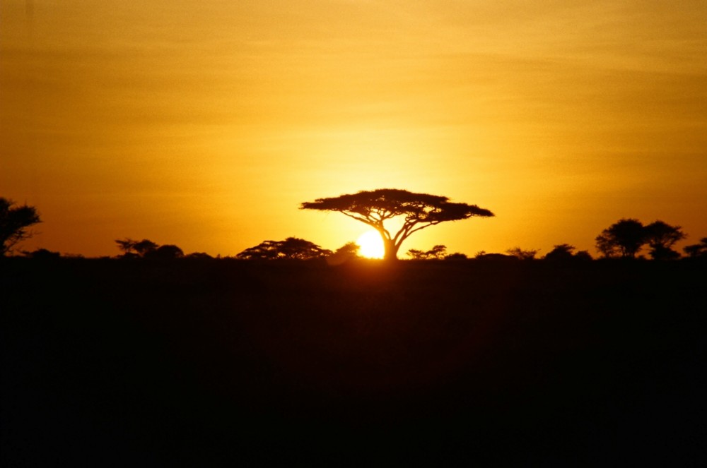 african-sunrise